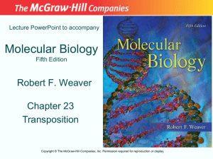 Chapter 23 Lecture PowerPoint - McGraw Hill Higher Education