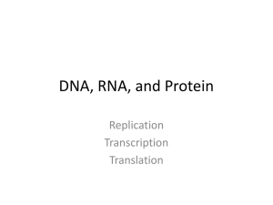 DNA, RNA, and Protein