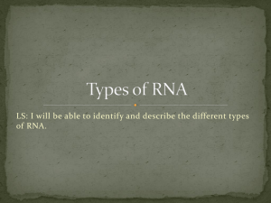 Types of RNA ppt