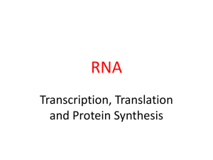 Messenger RNA