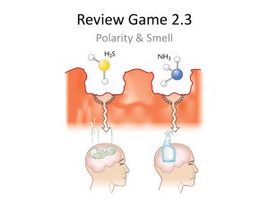 Review Game 2.3
