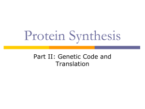 11/13/12 Protein Synthesis Part II: Genetic Code and Translation