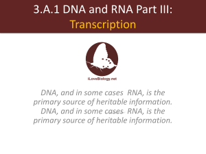 EDITED DNA & RNA Part III Transcription