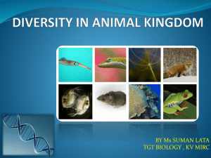 diversity in animal kingdom chapter 7 class ix - e-CTLT