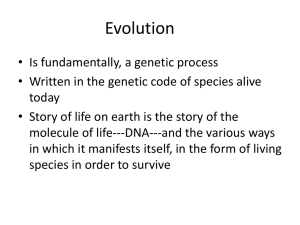 Evolutionary Processes