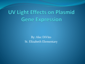 Gene Expression and the Effects of UV Light