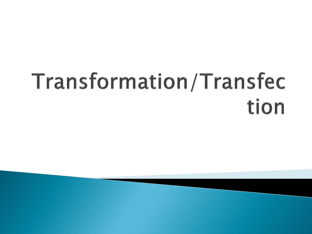 Transfection Ppt