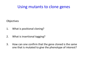 Lecture 3,4 Cloning