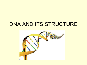 dna and its structure