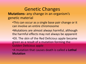Chapter 8: Genetic Changes