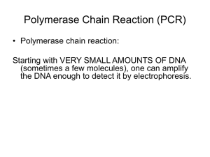 Polymerase Chain Reaction and DNA Sequencing