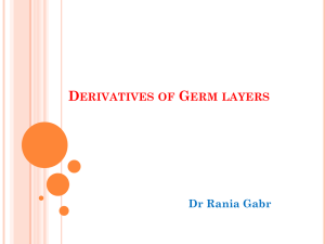 Derivatives of Germ layers