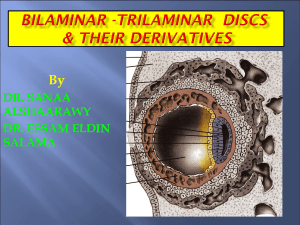 3- Bilaminarand trilaminar discs2015-09