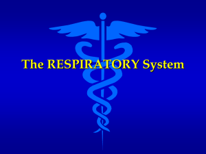 Unit 9 Respiratory