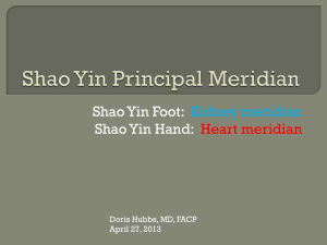 Shao Yin Principal Channel