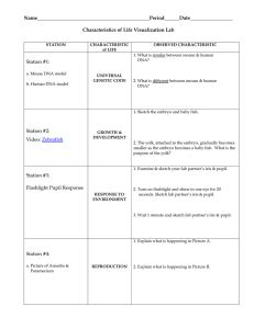 Characteristics of Life Visualization Lab