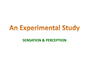 An Experimental Study