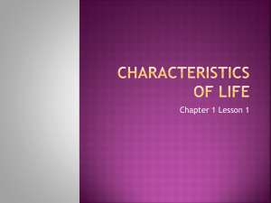 Characteristics of life - Mary of Nazareth School
