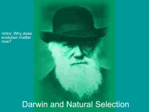 Darwin and Natural Selection