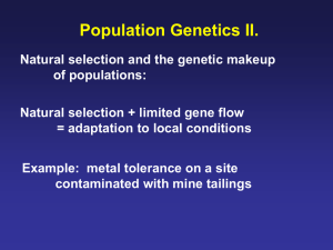 Population Genetics II.