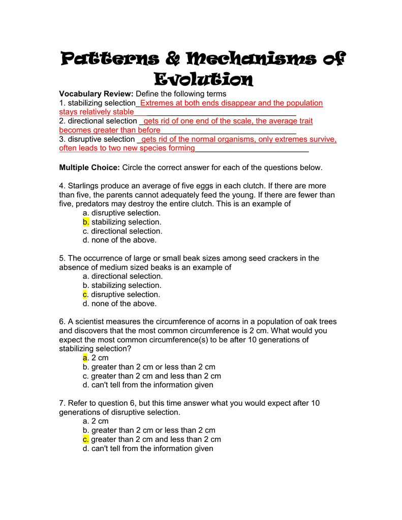 Patterns & Mechanisms of Evolution Pertaining To Types Of Evolution Worksheet