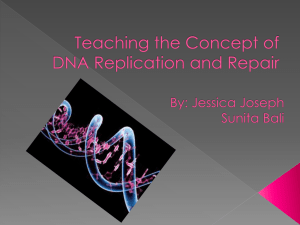 Teaching the Concept of Protein Synthesis Rebecca Lostracco