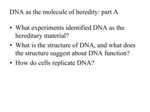 Chapter 16 - DNA - Biology 1510 Biological Principles