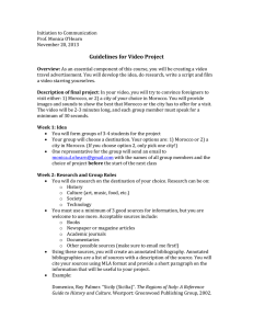 Guidelines for Video Project