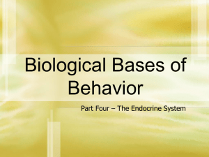 Biological Part 4 Endocrine System