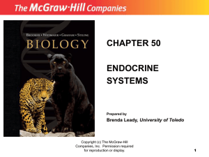 chapter 50 endocrine systems