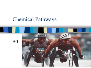 Chemical Pathways - Southgate Schools