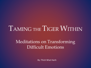 Taming The Tiger Within
