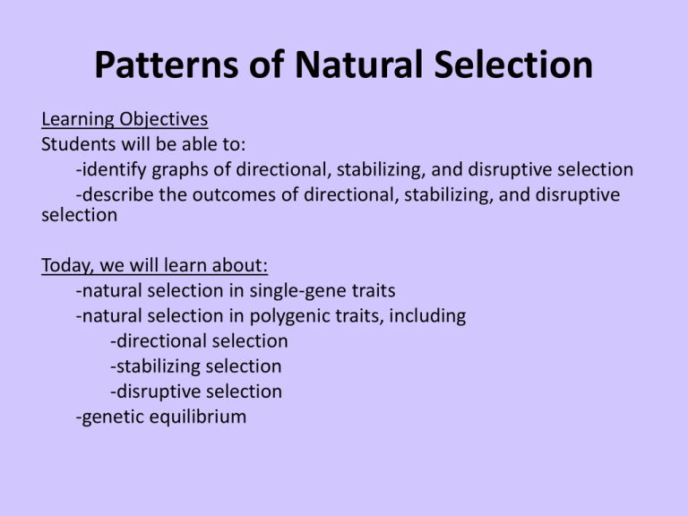 Patterns Of Natural Selection