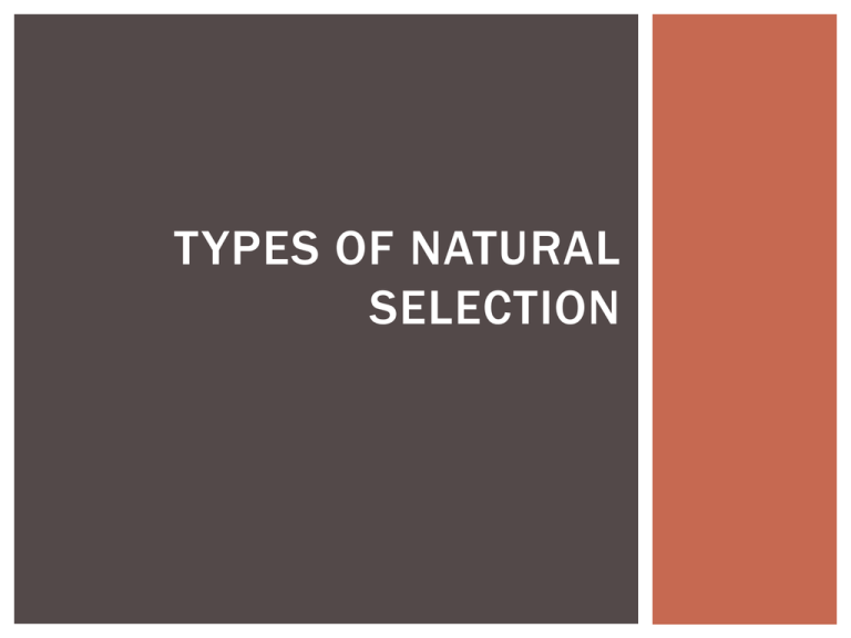 Types Of Natural Selection