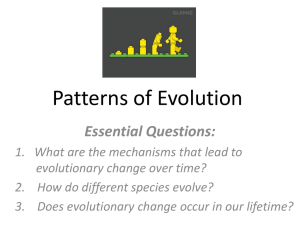 Patterns_of_Evolution_1