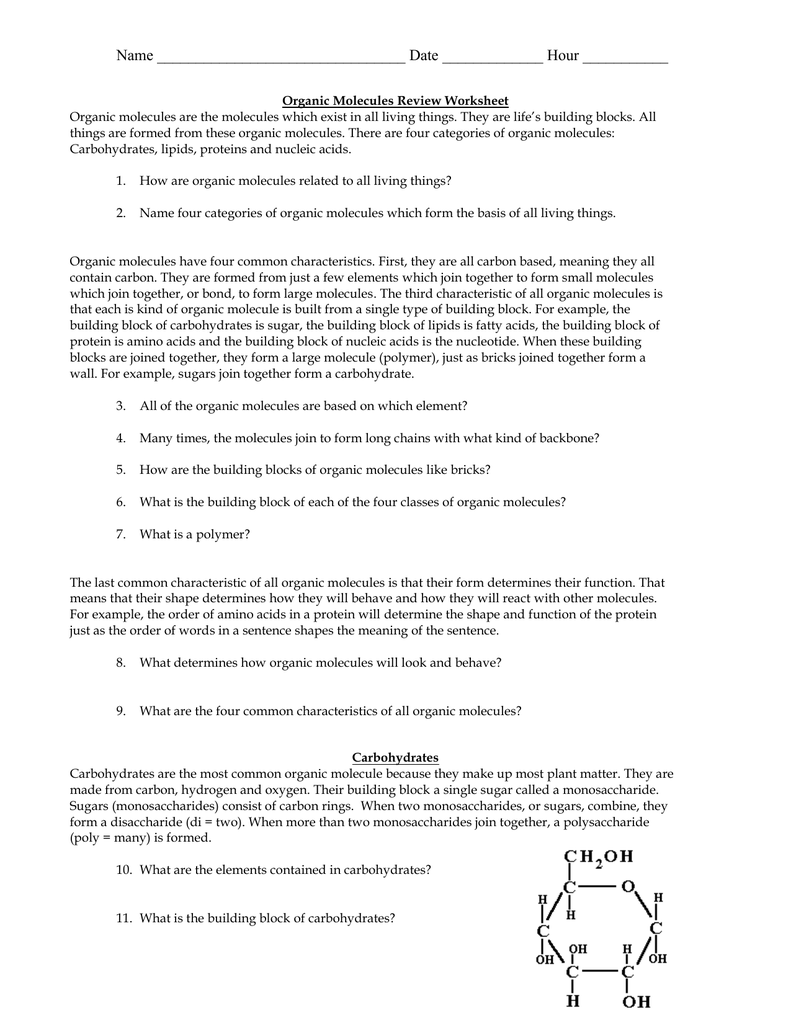 Biomolecule Review Worksheet Regarding Organic Molecules Worksheet Answer Key