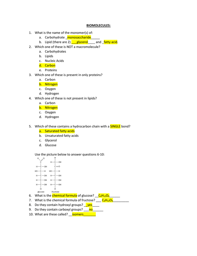 Biomolecules Test Review Study Guide Answers