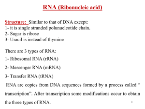 RNA and transcription
