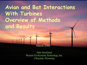 Wind Turbine/Avian Interaction Background