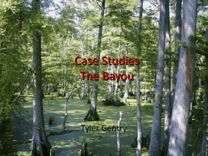 Case Studies The Bayou