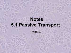 Notes 5.1 Passive Transport