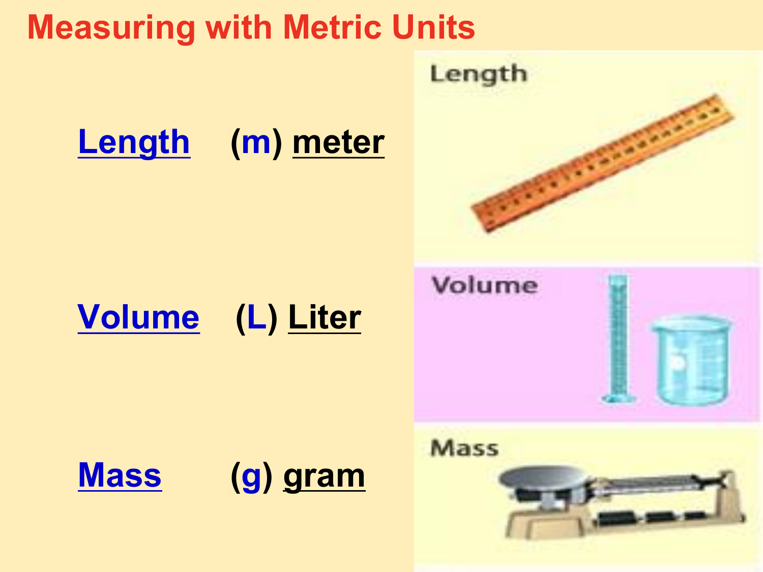 Metric Units. - ppt download