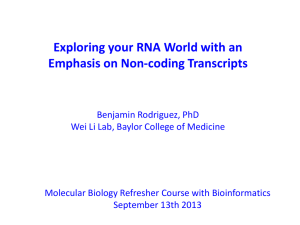 Power point format RNA lecture slides - Wei Li Lab