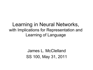 LearningLanguageInNeuralNetworks_SS100May312011