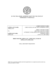 Court Sample Brief