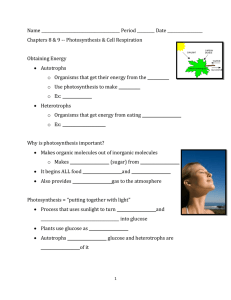 Photosynthesis and Cell Respiration Skeleton Notes