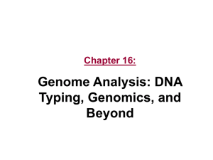 Chapter 16: Genome Analysis: DNA Typing, Genomics, and