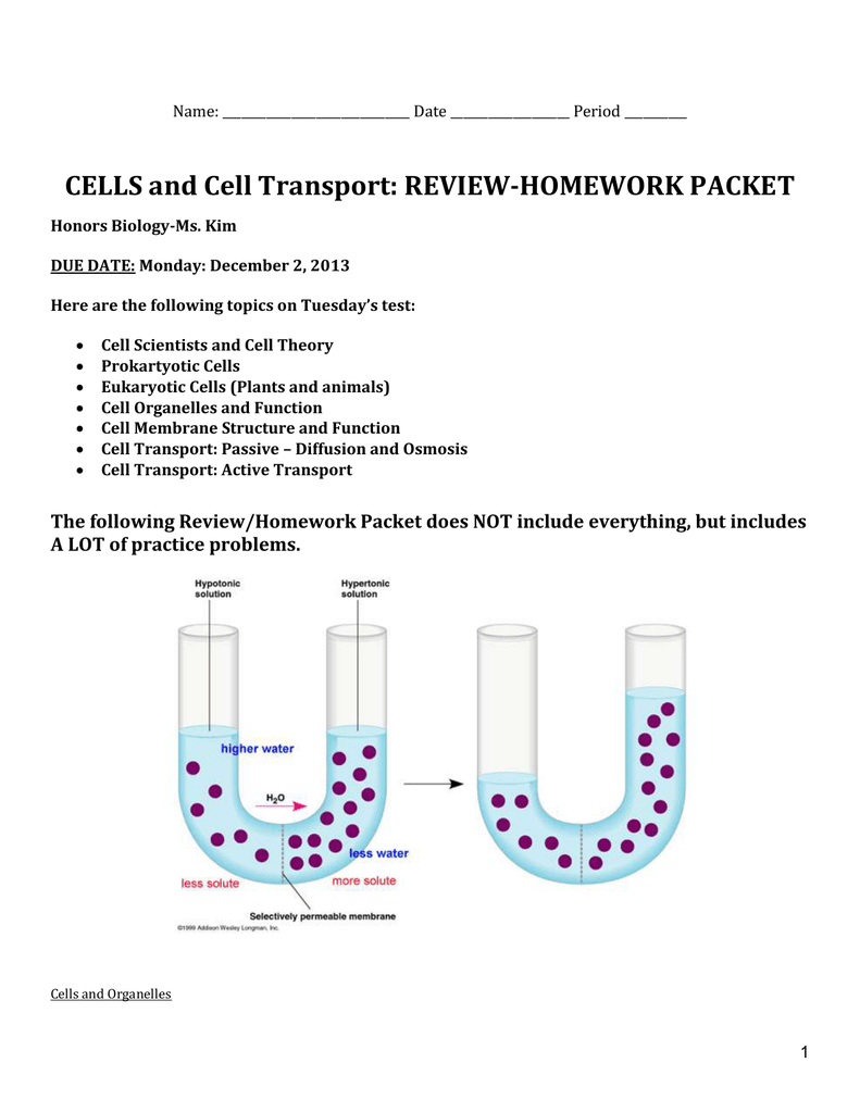 CELLS and Cell Transport: REVIEW