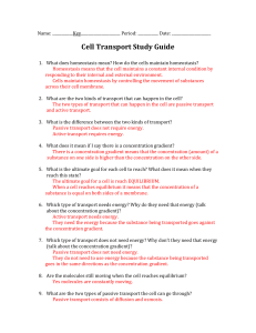 cell transport study guide answers