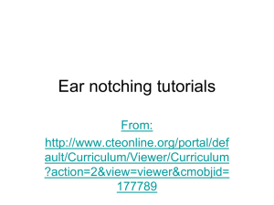 Practice ear notching!